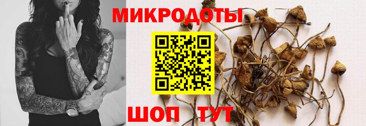 Ханты-Мансийск  Псилоцибиновые грибы Psilocybe  Вход с VPN 